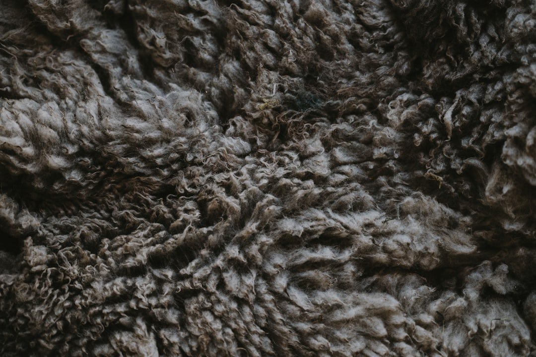 découvrez les méthodes efficaces pour éliminer les bouloches des vêtements en laine et maintenir leur apparence douce et propre.